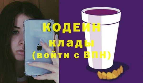 ГАЛЛЮЦИНОГЕННЫЕ ГРИБЫ Аркадак