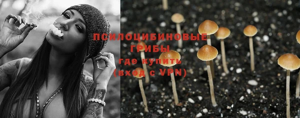 тгк Армянск