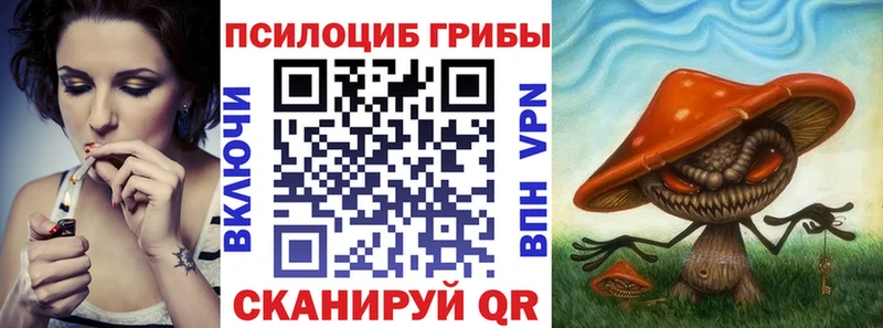 Псилоцибиновые грибы прущие грибы  сколько стоит  Бородино 